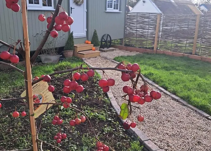 Shepherds Hut 戈尔韦